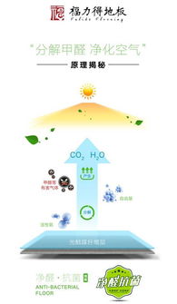 福力得認(rèn)為 好地板只有一個(gè)屬性 凈醛
